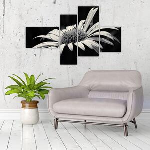 Čiernobiely obraz kvetu (Obraz 110x70cm)