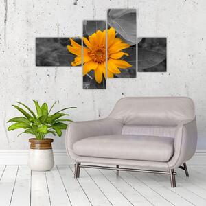 Obraz oranžového kvetu (Obraz 110x70cm)