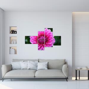 Obraz ružového kvetu (Obraz 110x70cm)