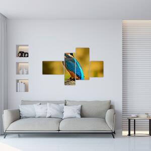 Obraz - farebný vták (Obraz 110x70cm)
