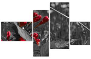 Červené kvety - moderné obrazy (Obraz 110x70cm)