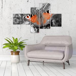 Oranžový motýľ - obraz (Obraz 110x70cm)