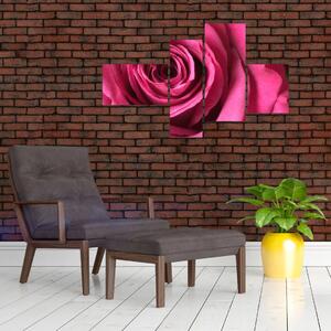 Obraz ružové ruže (Obraz 110x70cm)