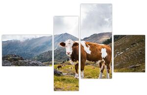 Obraz kravy na lúke (Obraz 110x70cm)