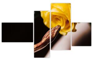 Obraz hada so žltou ružou (Obraz 110x70cm)