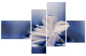 Obraz bieleho kvetu vo vode (Obraz 110x70cm)