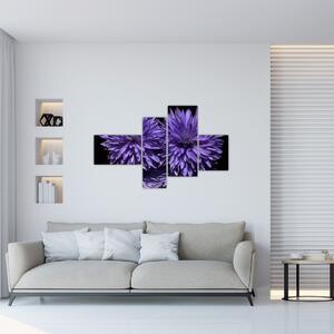 Obraz fialových kvetov (Obraz 110x70cm)