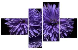 Obraz fialových kvetov (Obraz 110x70cm)