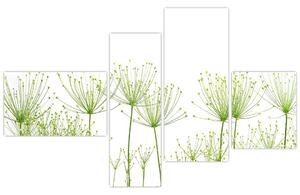 Obraz rastlín na bielom pozadí (Obraz 110x70cm)