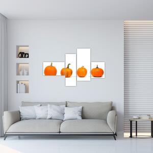 Obraz - oranžové tekvice (Obraz 110x70cm)