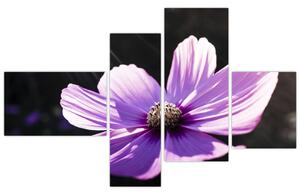 Obraz fialového kvetu (Obraz 110x70cm)