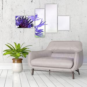 Obraz fialového kvetu (Obraz 110x70cm)