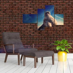 Obraz opice - obrazy zvierat (Obraz 110x70cm)