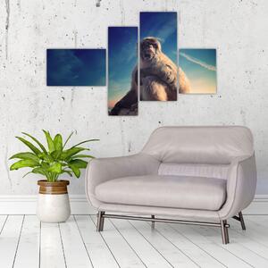 Obraz opice - obrazy zvierat (Obraz 110x70cm)
