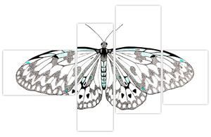 Čiernobiely motýľ (Obraz 110x70cm)