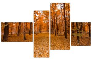 Obraz lesné cesty (Obraz 110x70cm)