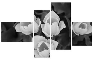 Čiernobiele kvety (Obraz 110x70cm)