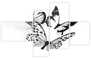 Obraz motýľov (Obraz 110x70cm)