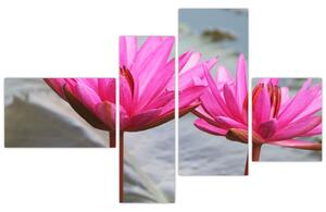 Obraz dvoch kvetov (Obraz 110x70cm)