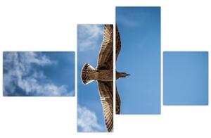 Obraz letiaceho vtáka (Obraz 110x70cm)