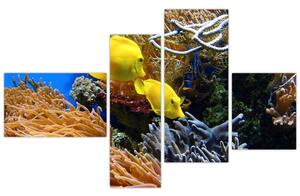 Podmorský svet - obraz (Obraz 110x70cm)