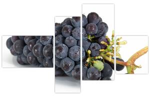 Obraz s hroznovým vínom (Obraz 110x70cm)