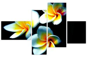 Obraz kvety (Obraz 110x70cm)