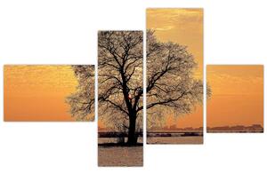 Obraz sa stromom (Obraz 110x70cm)