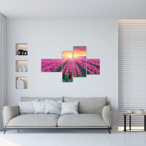 Obraz - polia kvetov (Obraz 110x70cm)