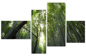 Obraz lesov (Obraz 110x70cm)