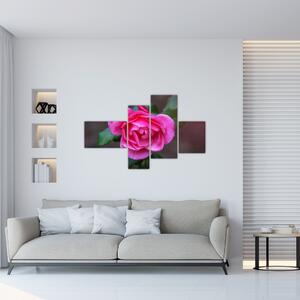 Obraz ruže na stenu (Obraz 110x70cm)