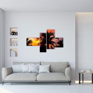 Obraz palmy na stenu (Obraz 110x70cm)