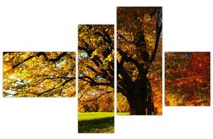 Obraz jesennej krajiny (Obraz 110x70cm)