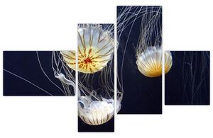 Obraz - medúzy (Obraz 110x70cm)