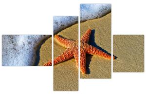 Obraz s morskou hviezdou (Obraz 110x70cm)