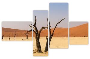 Obraz púšte (Obraz 110x70cm)