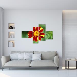 Obraz kvety na stenu (Obraz 110x70cm)