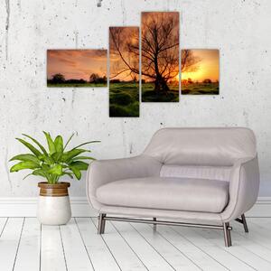 Západ slnka, obrazy (Obraz 110x70cm)