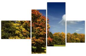 Jesenná krajina, obraz (Obraz 110x70cm)