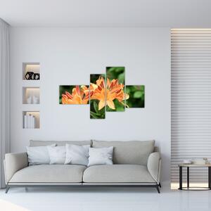 Oranžové kvety (Obraz 110x70cm)
