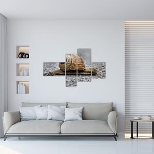 Ulita slimáka, obraz na stenu (Obraz 110x70cm)