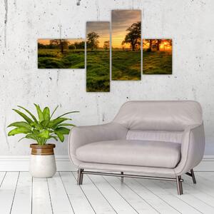 Západ slnka v krajine, obrazy (Obraz 110x70cm)