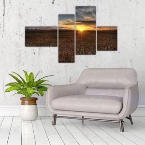 Západ slnka na poli - obraz na stenu (Obraz 110x70cm)