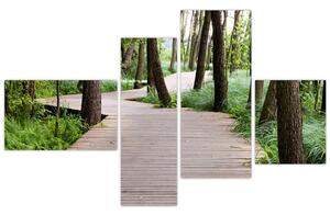 Cesta v lese - obraz (Obraz 110x70cm)