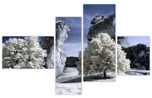 Zimná krajina - obraz do bytu (Obraz 110x70cm)
