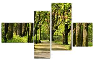 Cesta v parku - obraz (Obraz 110x70cm)