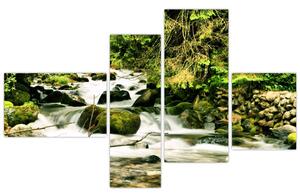 Obraz rieky (Obraz 110x70cm)