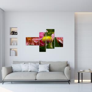 Obraz kvetu rastliny (Obraz 110x70cm)