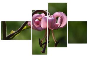 Obraz kvety (Obraz 110x70cm)
