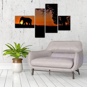 Obraz slona v prírode (Obraz 110x70cm)